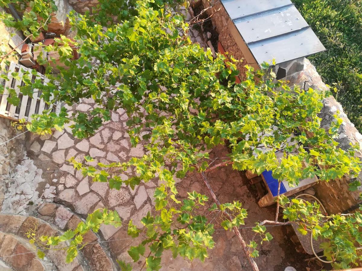 Casa Rita Villa Morella Ngoại thất bức ảnh